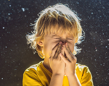 Qualité de l'air domestique et ventilation mécanique contrôlée :  Cette technologie est-elle vraiment nécessaire ?